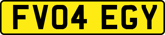 FV04EGY