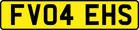 FV04EHS