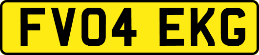FV04EKG