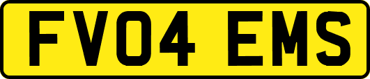 FV04EMS