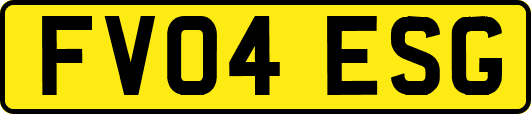 FV04ESG