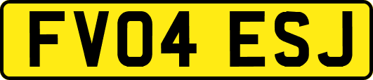 FV04ESJ