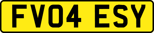 FV04ESY