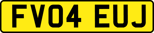 FV04EUJ