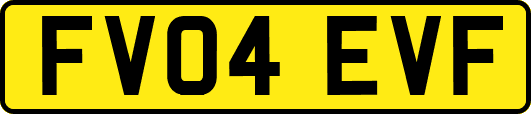 FV04EVF