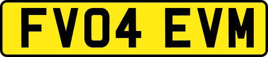FV04EVM