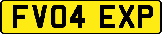 FV04EXP