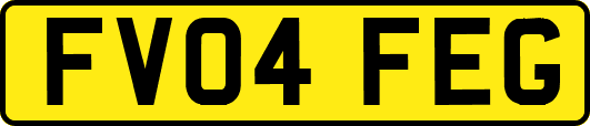 FV04FEG