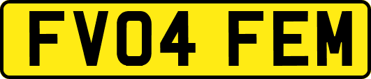 FV04FEM