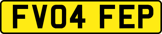 FV04FEP