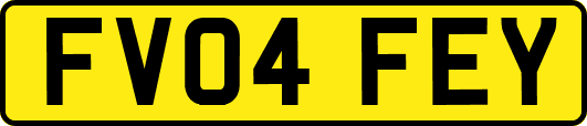 FV04FEY