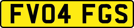 FV04FGS