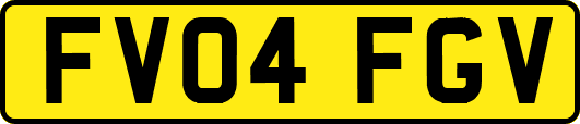 FV04FGV