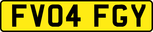 FV04FGY