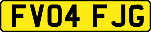 FV04FJG
