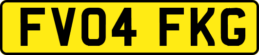 FV04FKG