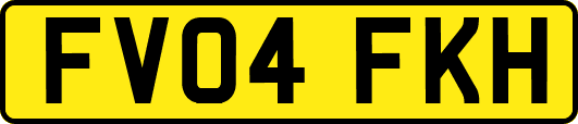 FV04FKH