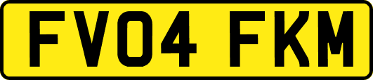 FV04FKM