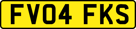 FV04FKS