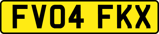FV04FKX