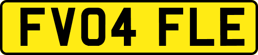 FV04FLE