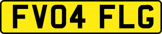FV04FLG