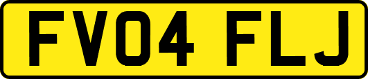 FV04FLJ