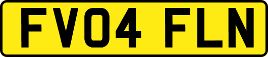 FV04FLN