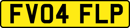 FV04FLP