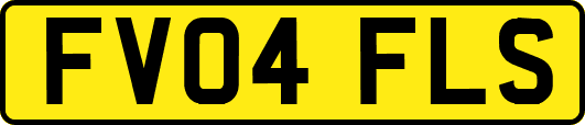 FV04FLS
