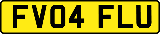 FV04FLU