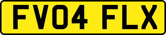 FV04FLX