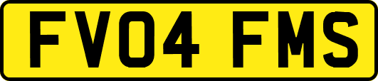 FV04FMS