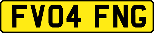 FV04FNG