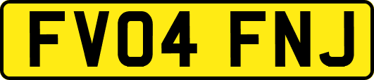 FV04FNJ