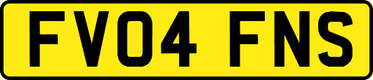 FV04FNS