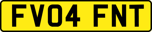 FV04FNT