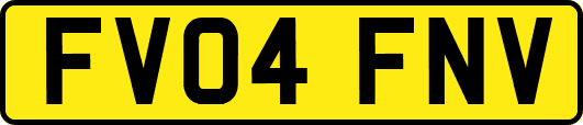 FV04FNV