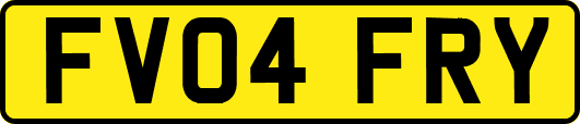 FV04FRY