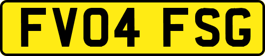 FV04FSG
