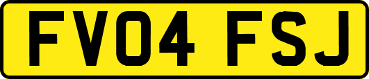 FV04FSJ