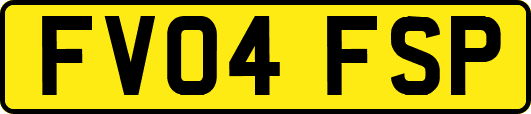 FV04FSP
