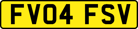 FV04FSV