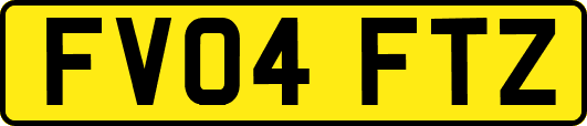 FV04FTZ