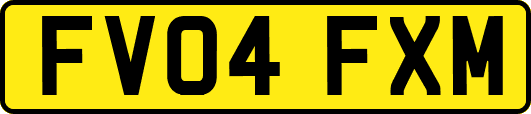 FV04FXM