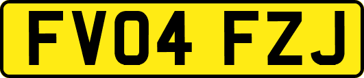 FV04FZJ