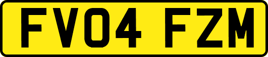 FV04FZM