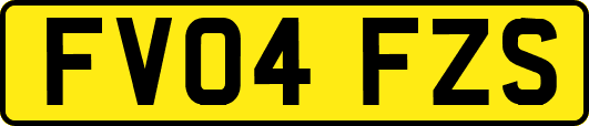 FV04FZS