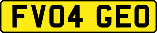 FV04GEO