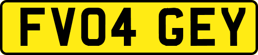 FV04GEY